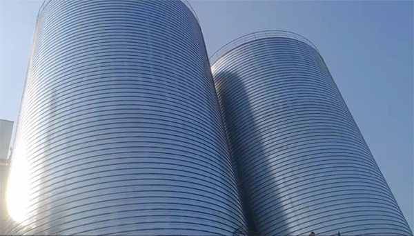 石家庄2座混凝土高架卷板仓